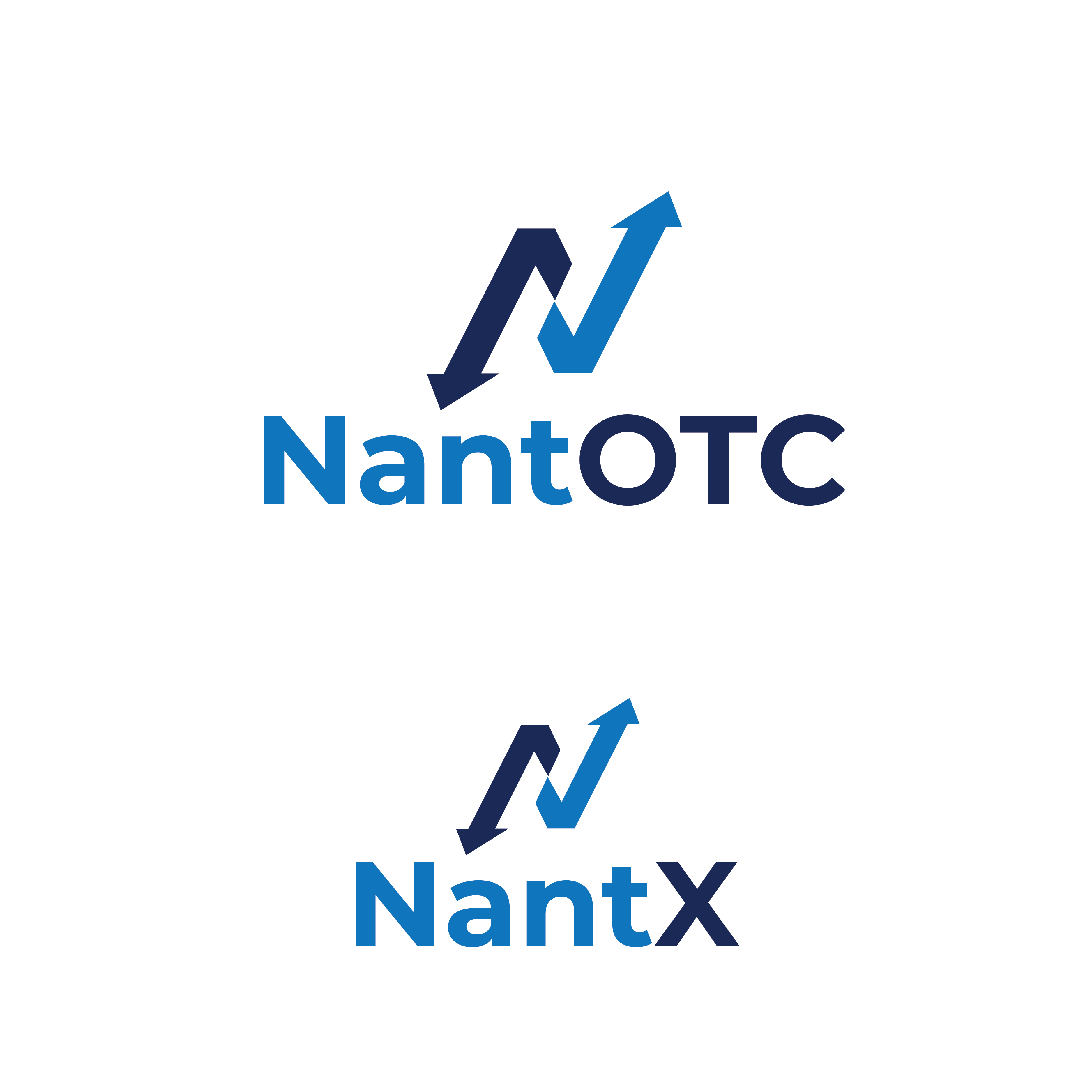 Logo Design by Designer Nayem for Nant Global Finance | Design #37517805