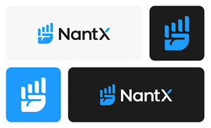Logo Design by Tejas.28 for Nant Global Finance | Design: #37529520