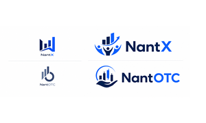 Logo Design by RajeevSinhaIndia for Nant Global Finance | Design: #37528903