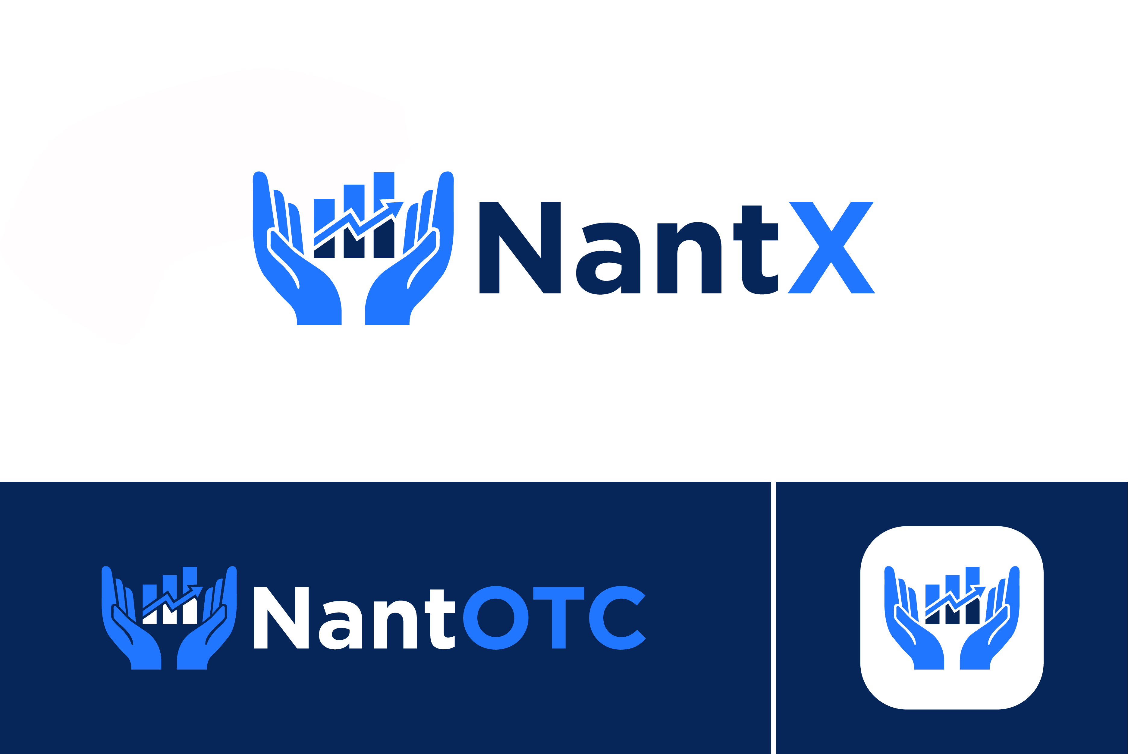 Logo Design by sushsharma99 for Nant Global Finance | Design #37517272