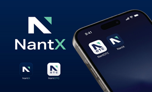 Logo Design by maes3o for Nant Global Finance | Design: #37517840