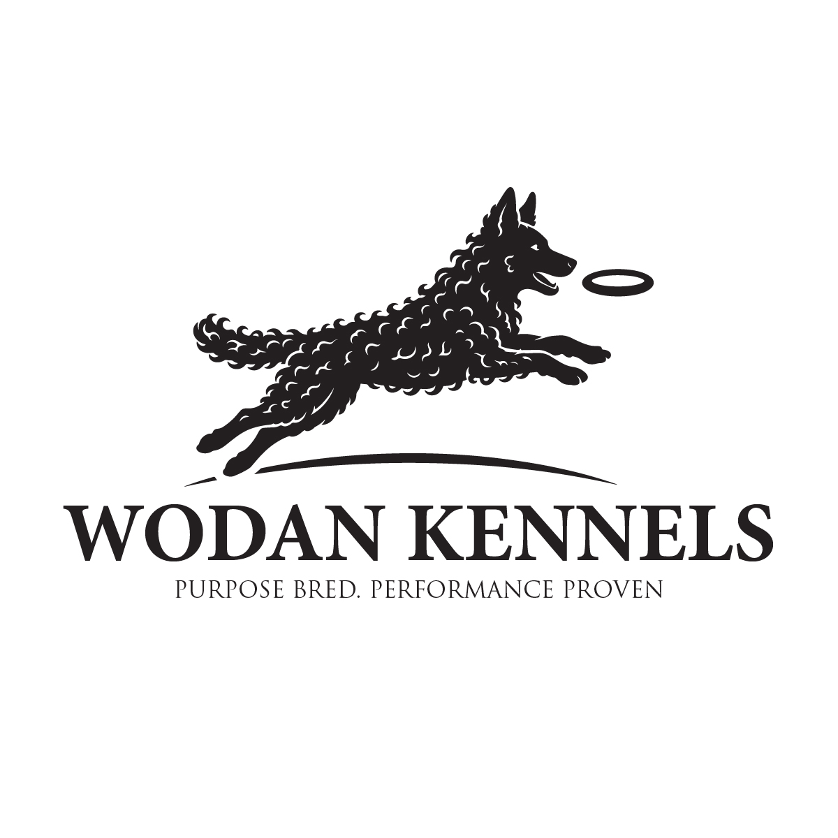 Logo Design by Elrich for this project | Design #37521037