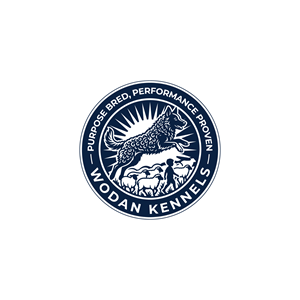 Logo-Design von Md Hasin Israk für dieses Projekt | Design: #37522588