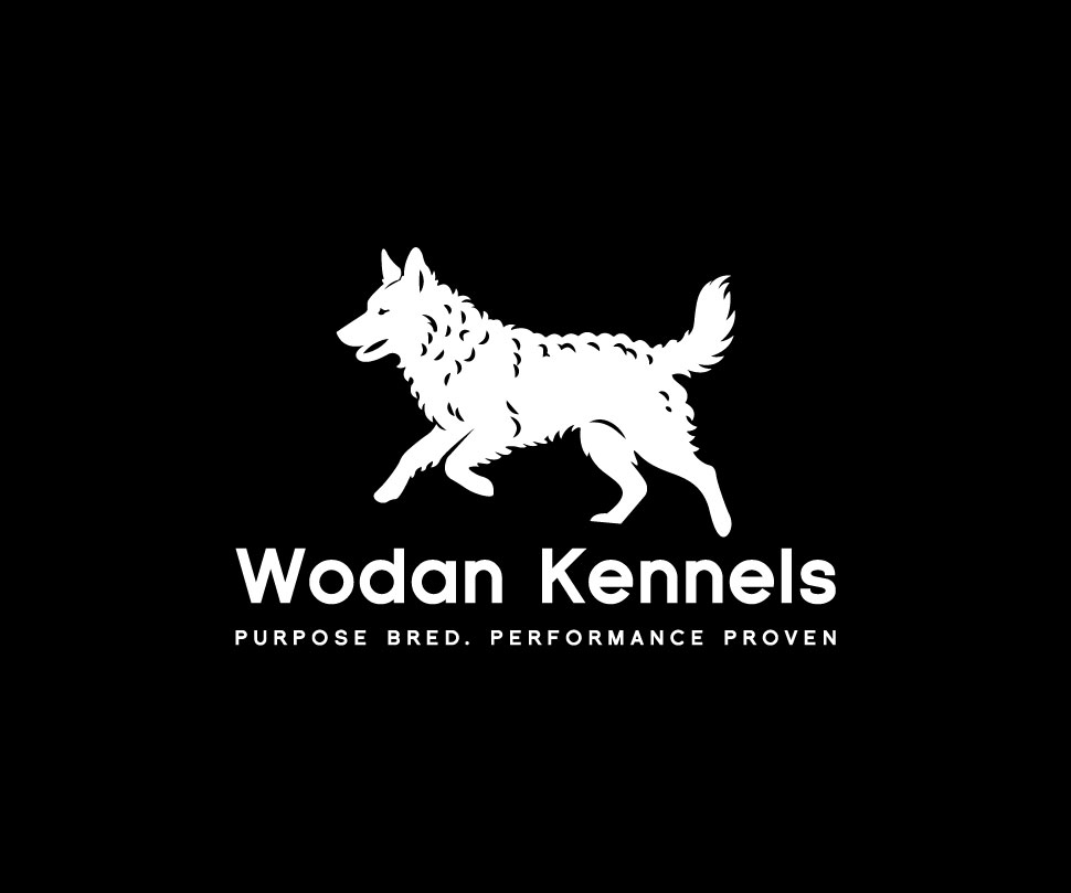Logo Design by belayat733 for this project | Design #37526103