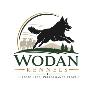 Logo Design by Zeemal25
