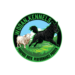 Logo-Design von prodesigns99 für dieses Projekt | Design: #37522994