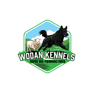 Logo-Design von prodesigns99 für dieses Projekt | Design: #37522995