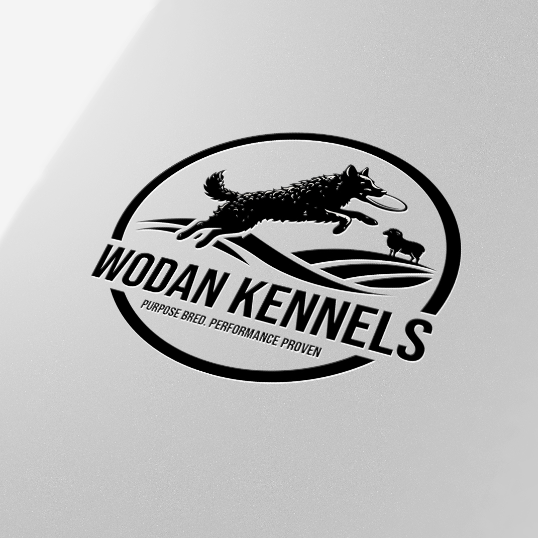 Logo Design by ares_h1 for this project | Design #37521791