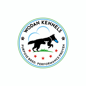 Logo Design by Ashani Bhattacharya for this project | Design #37522303