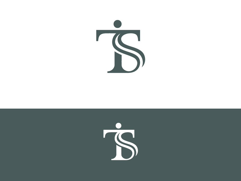 Logo Design by design gallary zh for International transport systems | Design #37540554