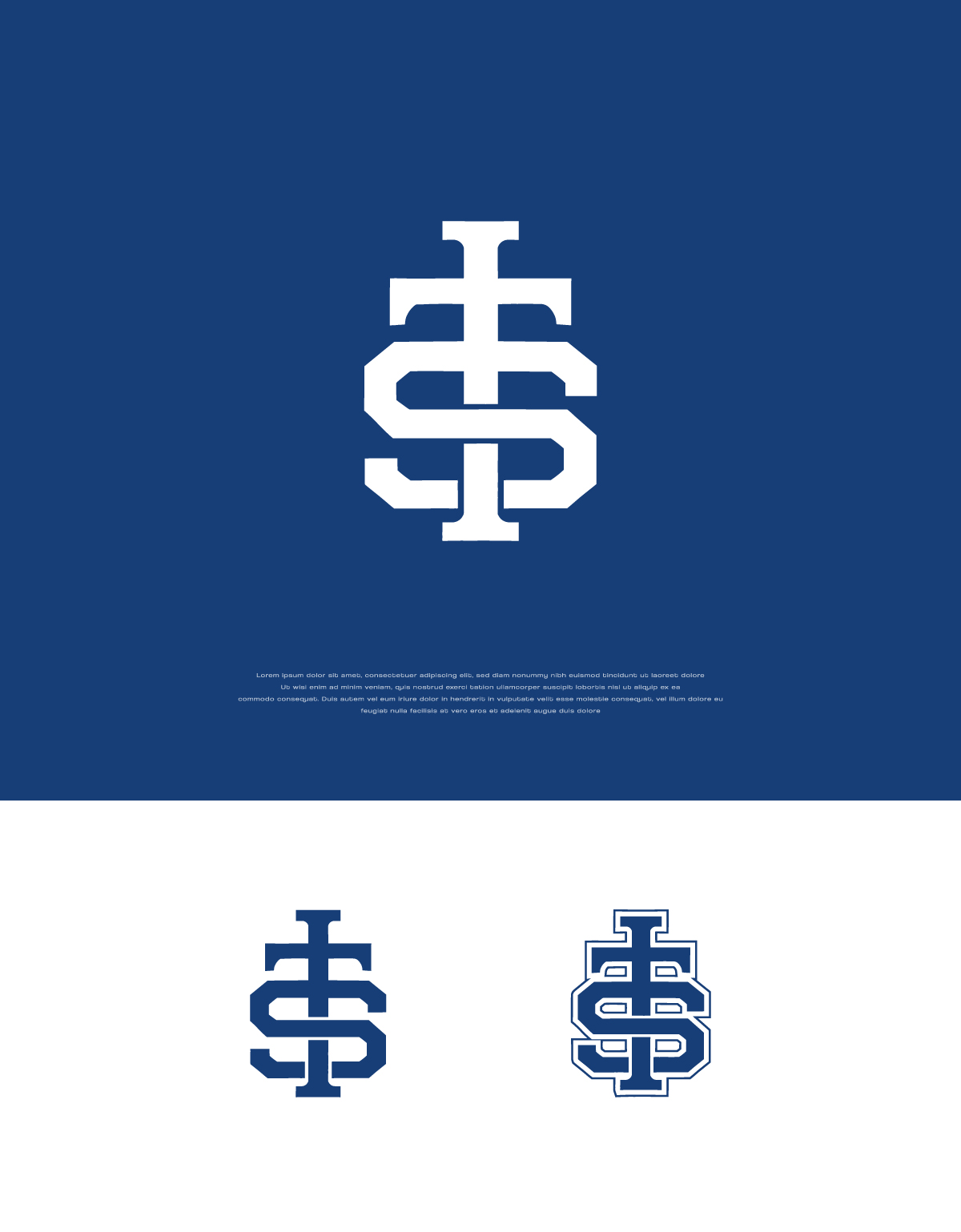 Logo Design by apik. for International transport systems | Design #37540416