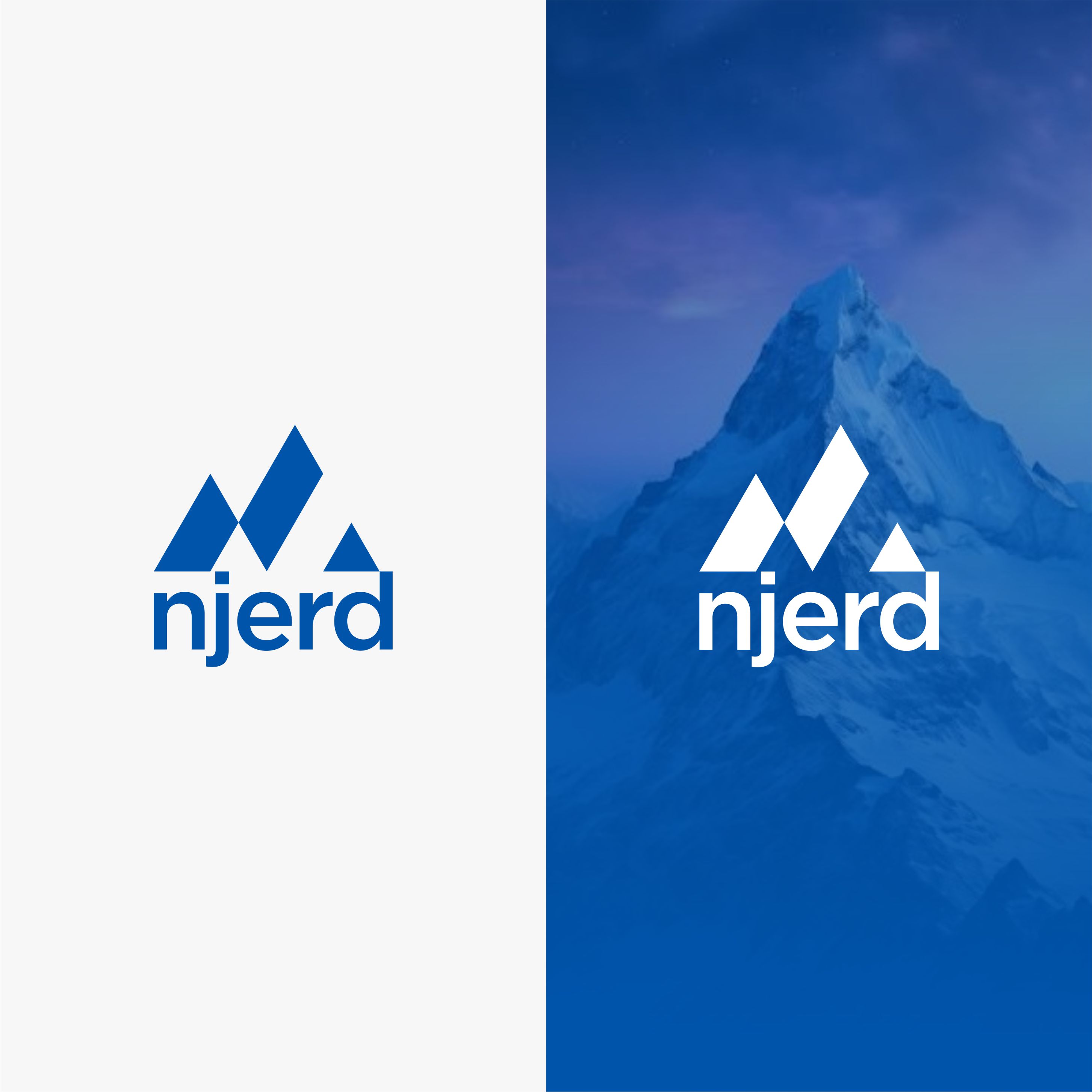 Logo-Design von Bingah für njerd | Design #37542221