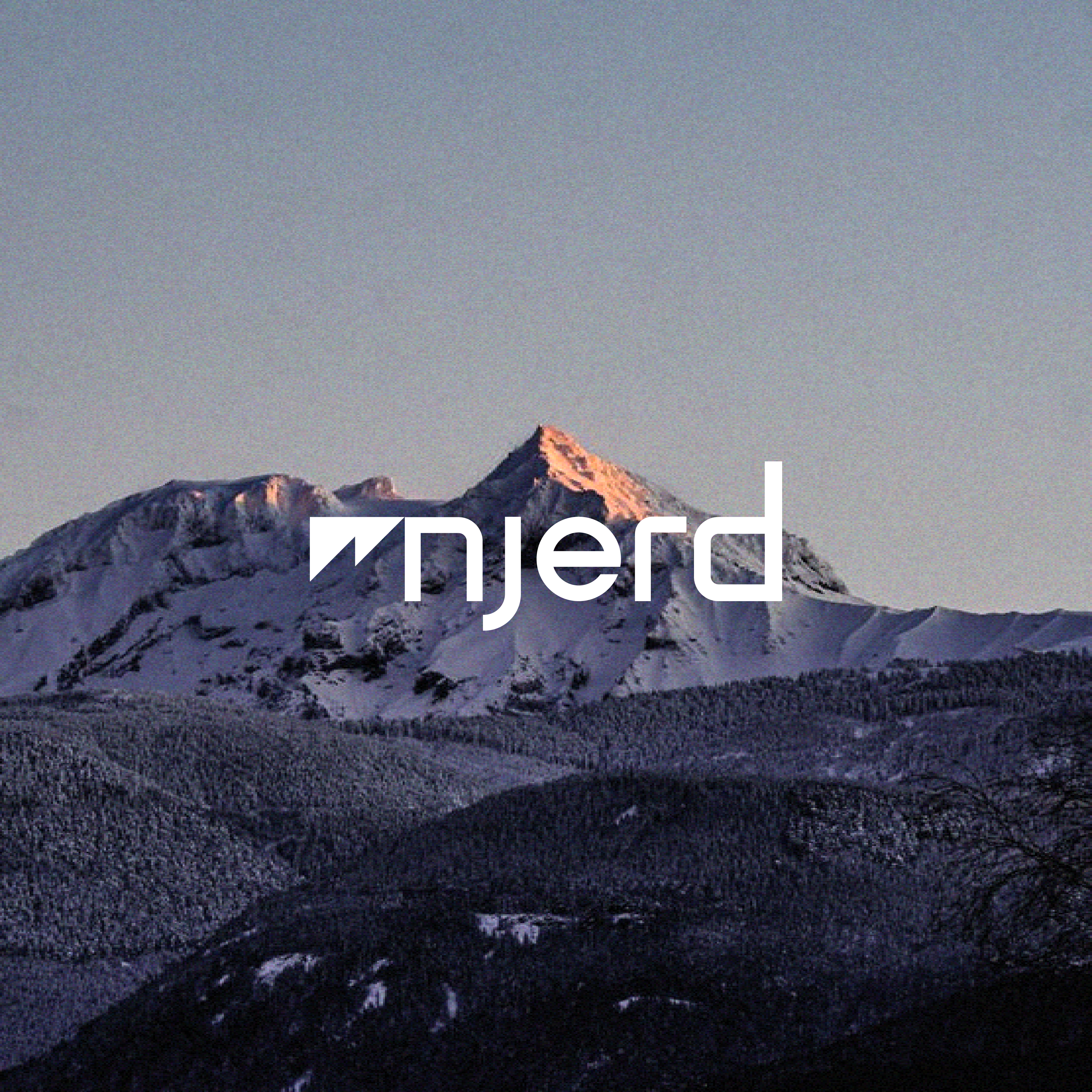 Logo Design by MICH® for njerd | Design #37562321
