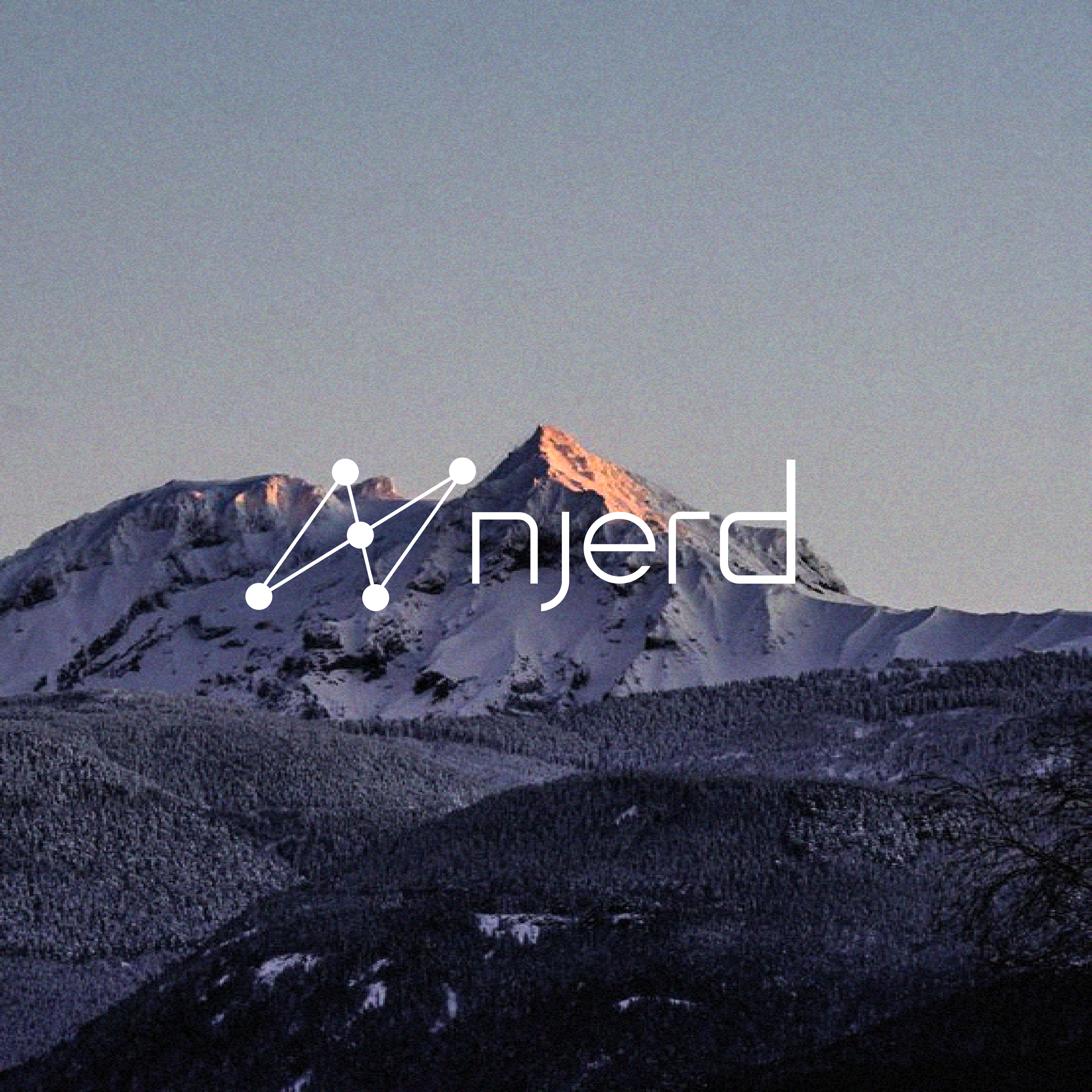 Logo Design by MICH® for njerd | Design #37564080