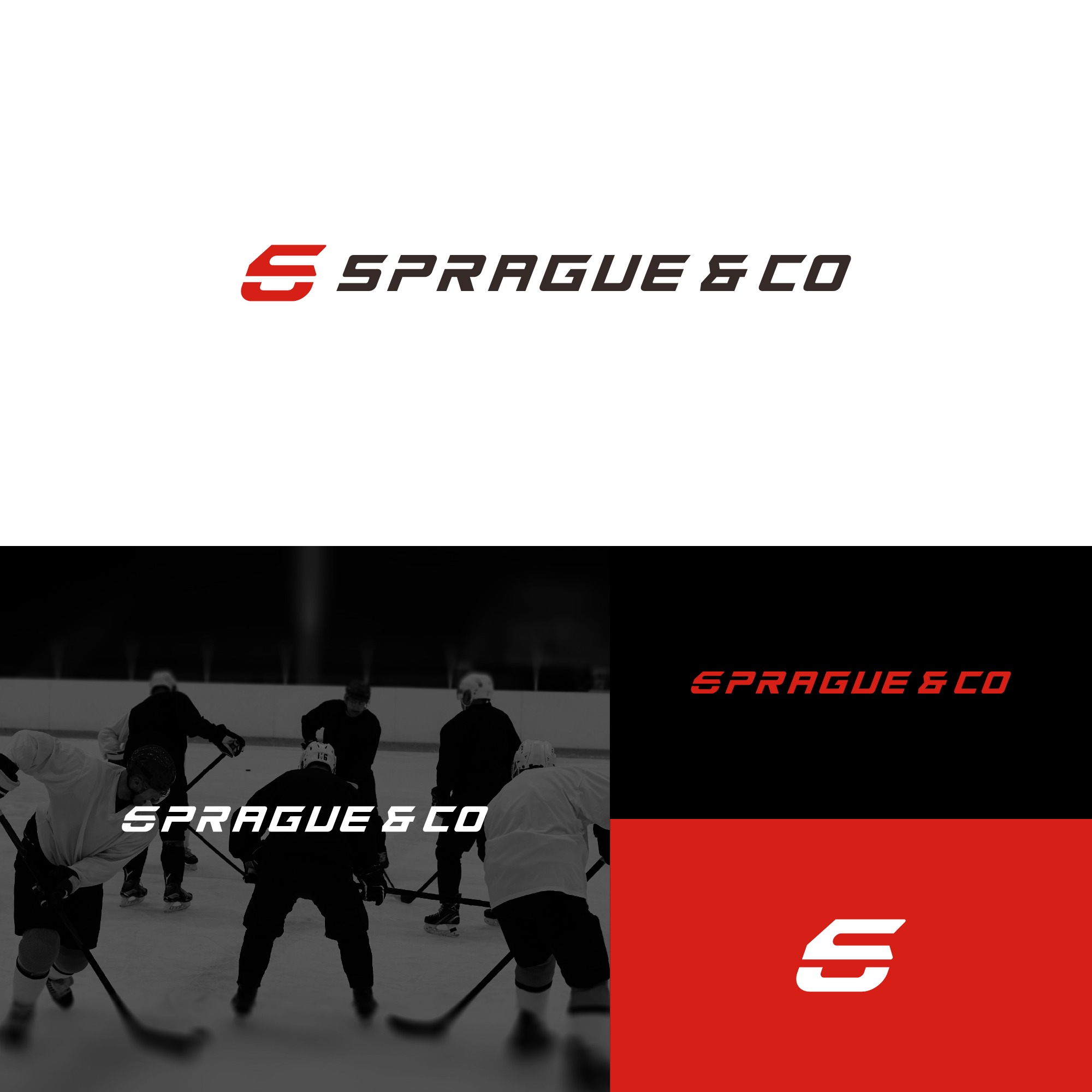 Logo Design by TenMa.Std for Cariboo Hockey Ltd | Design #37553170