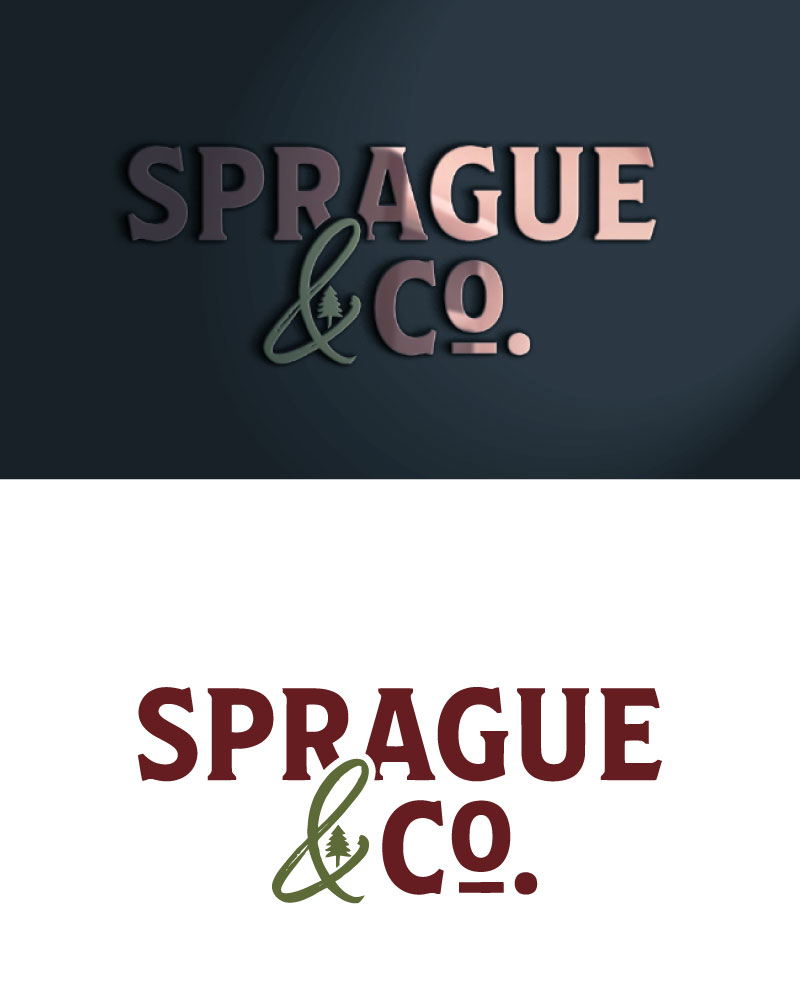 Logo-Design von Chanel graphics für Cariboo Hockey Ltd | Design #37550413