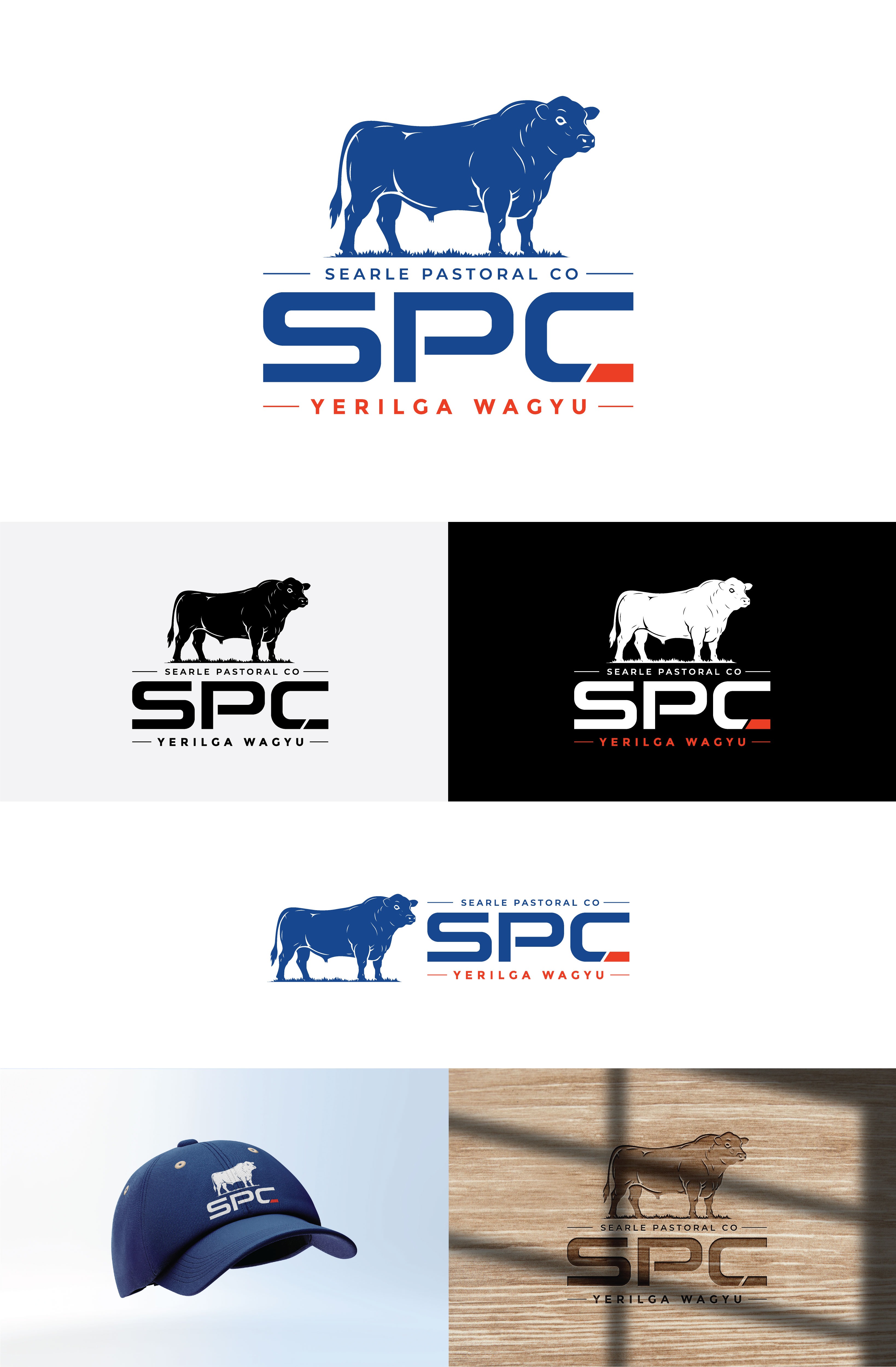 Graphic Design by StromDesignHub for this project | Design #37557256