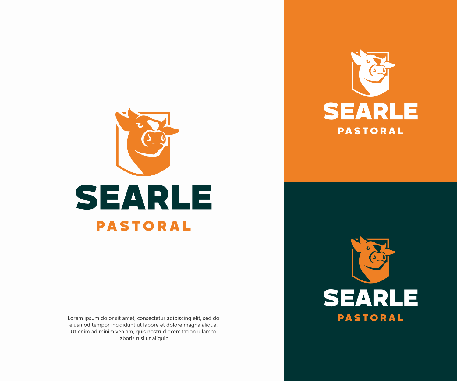 Graphic Design by ThiagoB for this project | Design #37555691