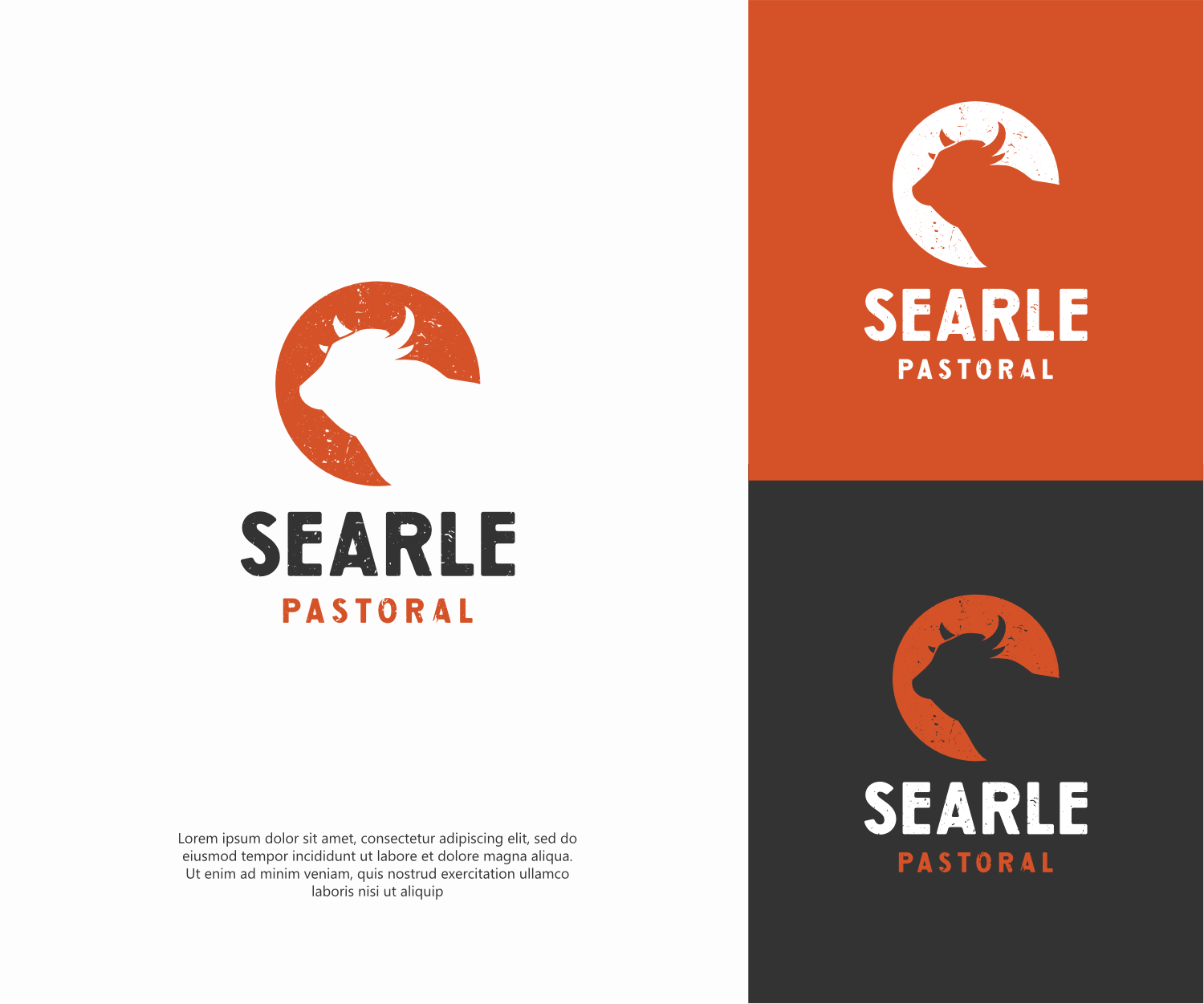 Graphic Design by ThiagoB for this project | Design #37555692