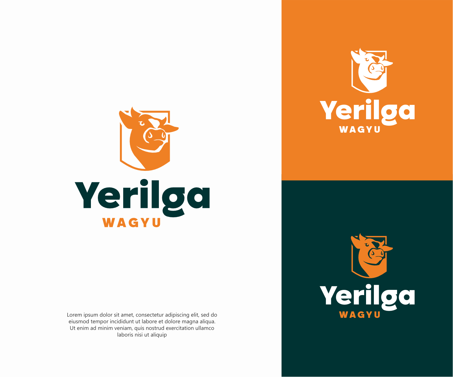 Graphic Design by ThiagoB for this project | Design #37555693