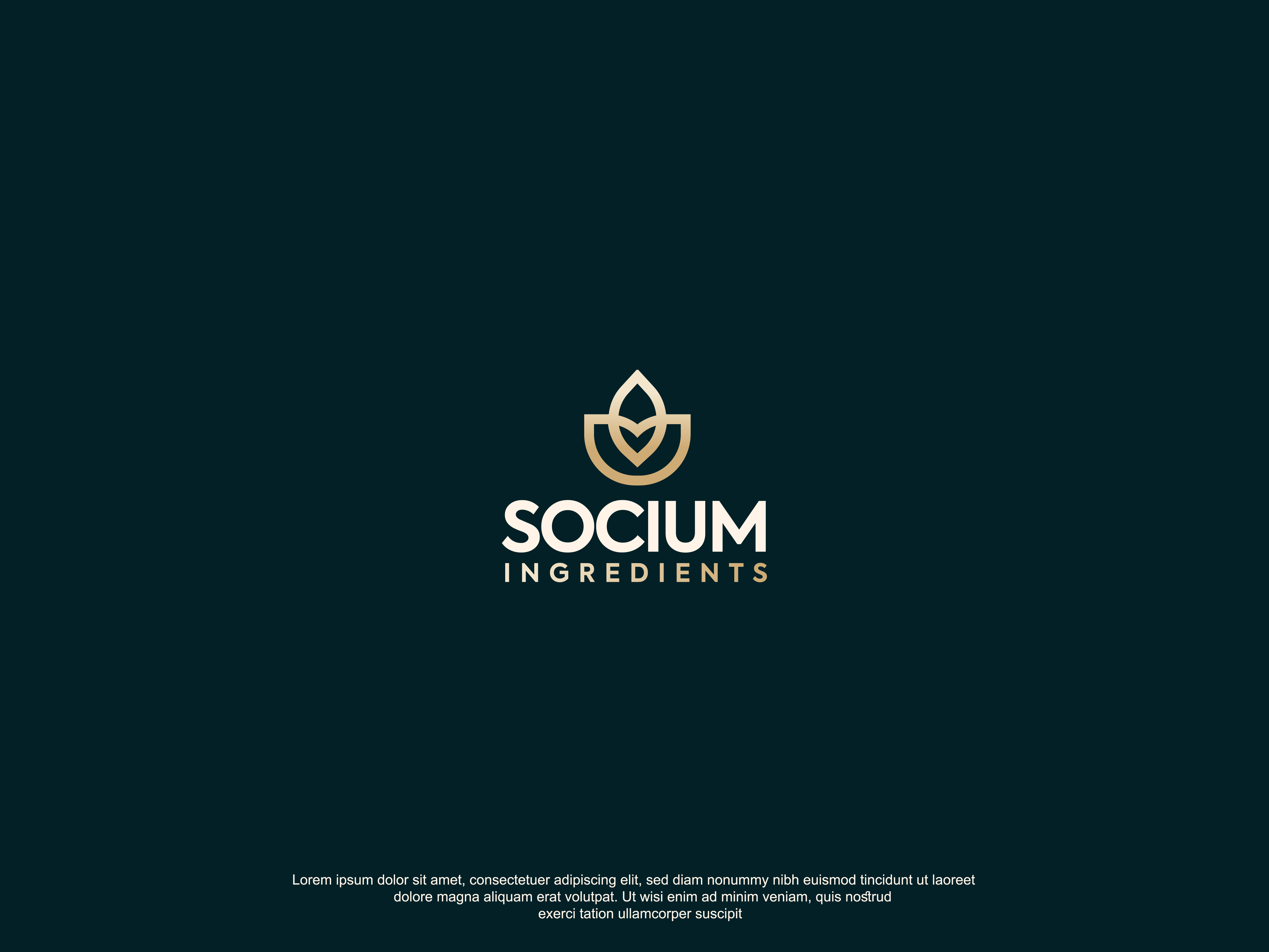 Diseño de Logo por AbrinaDesign para este proyecto | Diseño #37555782