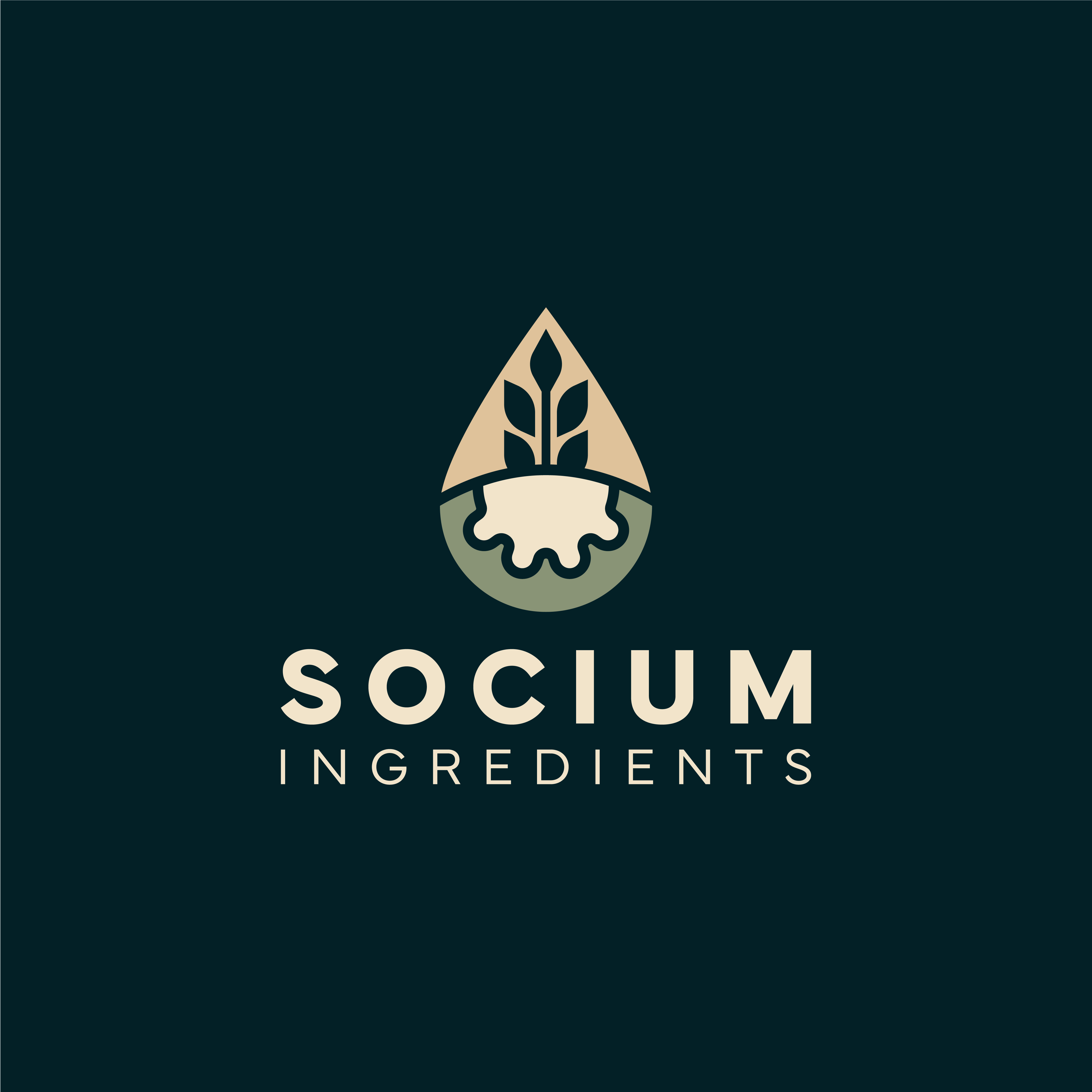 Logo Design by Brandon DZ for this project | Design #37560458