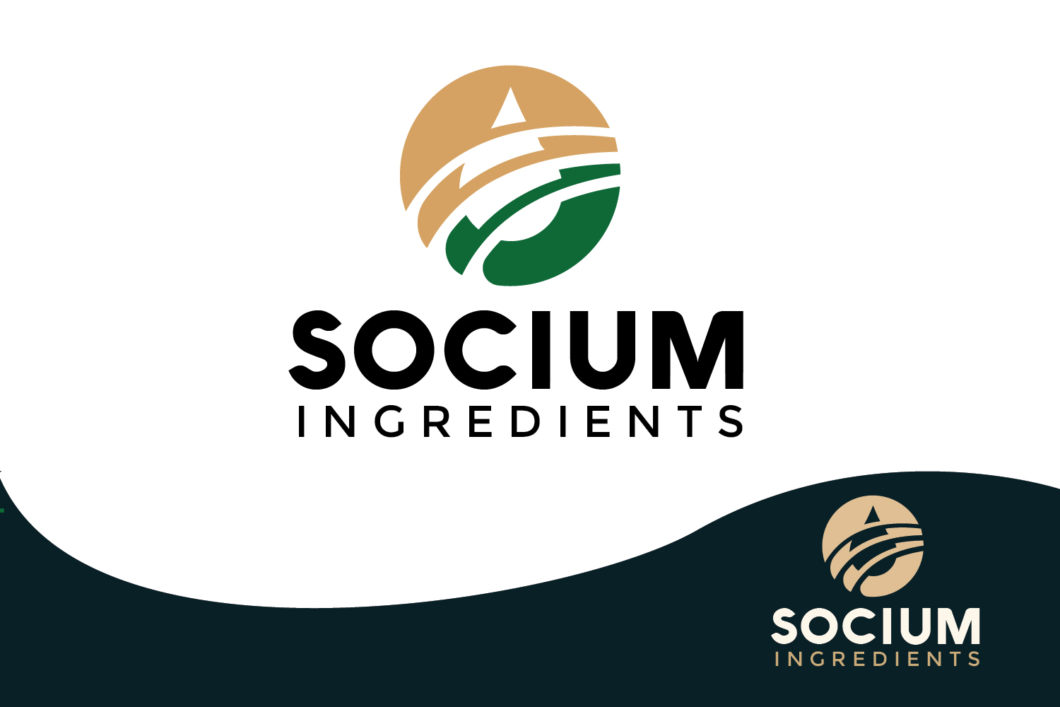 Logo Design by renderman for this project | Design #37556967