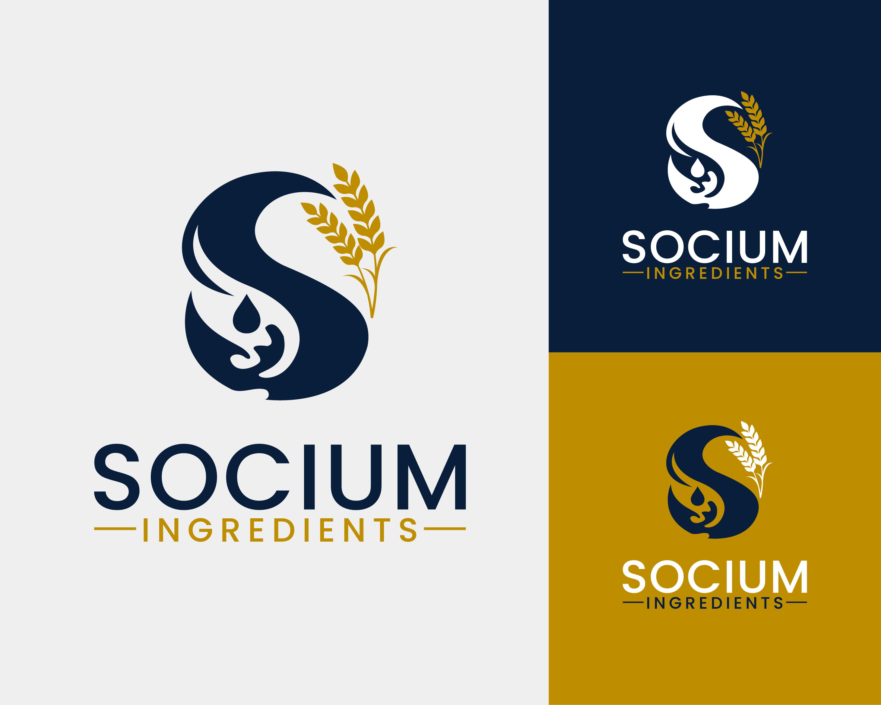 Diseño de Logo por Sika Creations para este proyecto | Diseño #37560910