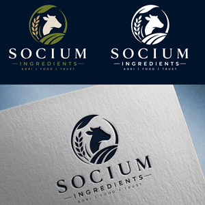 Design de Logo par Shariqology pour ce projet | Design : #37553871