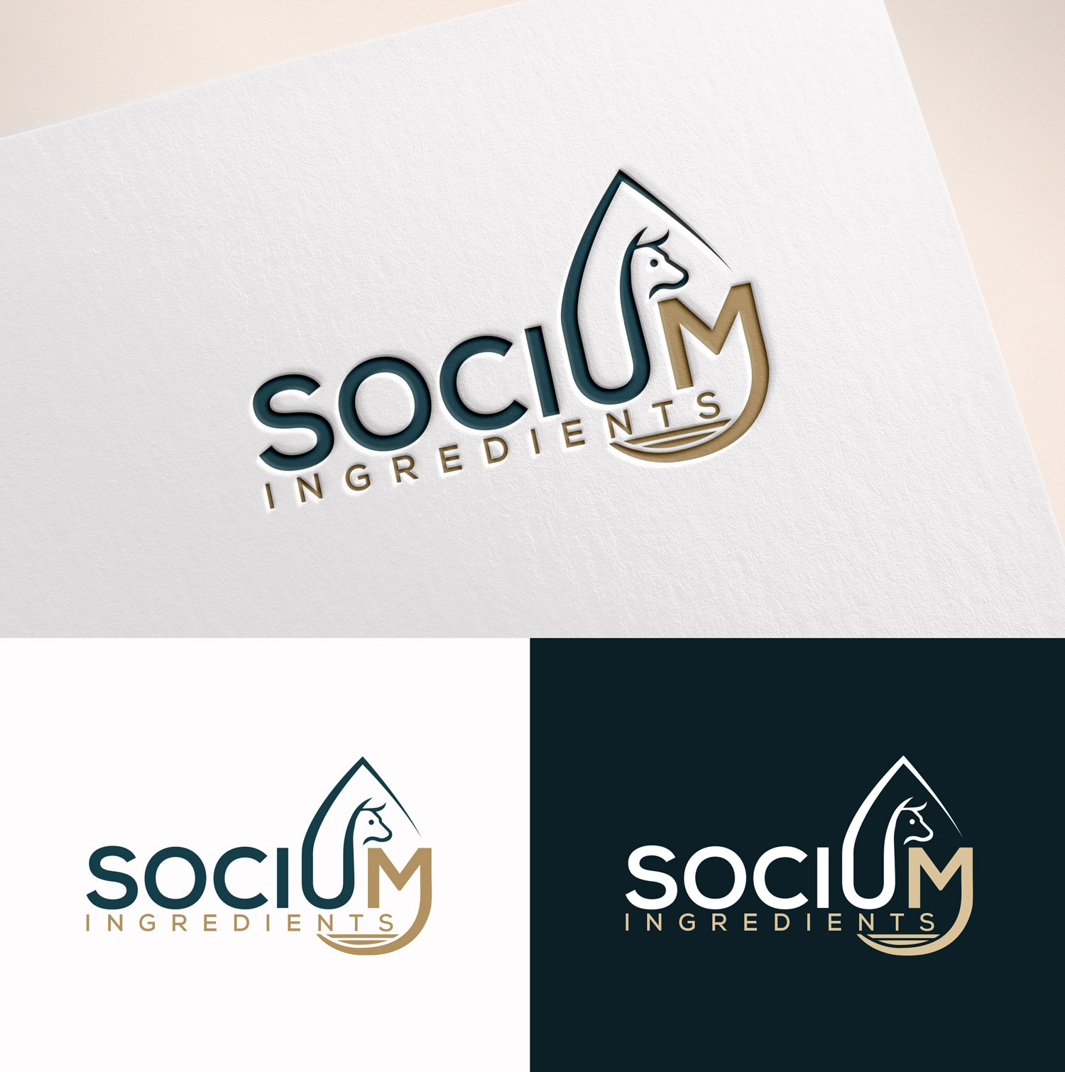 Logo Design by M Art & Design for this project | Design #37554395