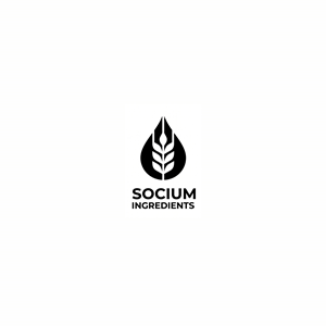 Logo Design by MD Kausar Ali