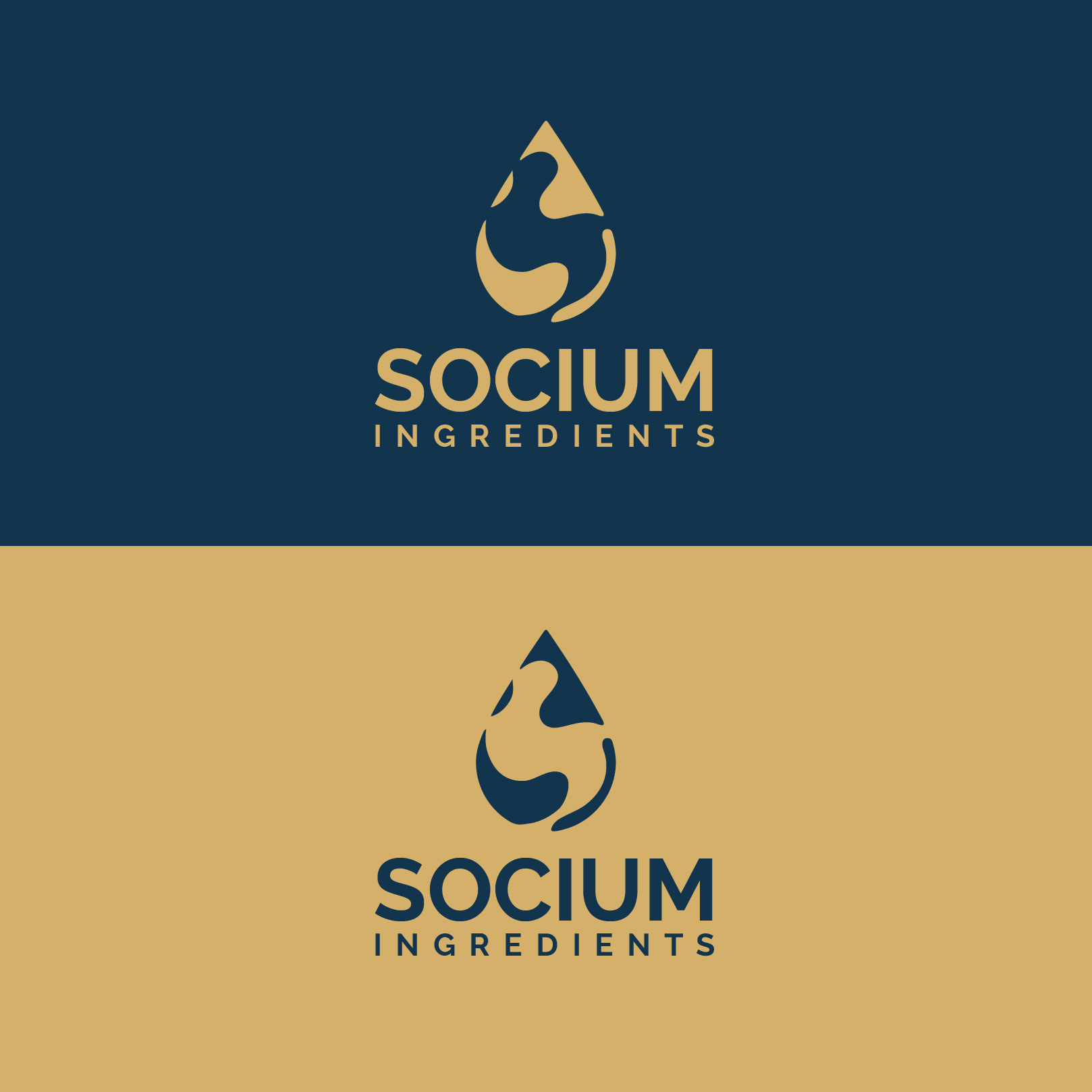 Logo Design by Blesign for this project | Design #37555923