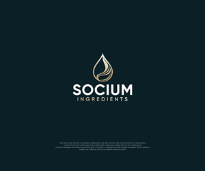 Logo Design by apik. for this project | Design: #37556366
