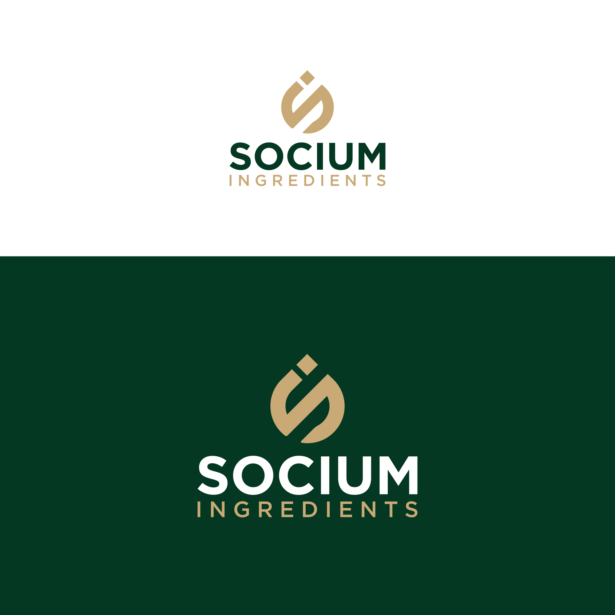 Diseño de Logo por ni9 para este proyecto | Diseño #37555885