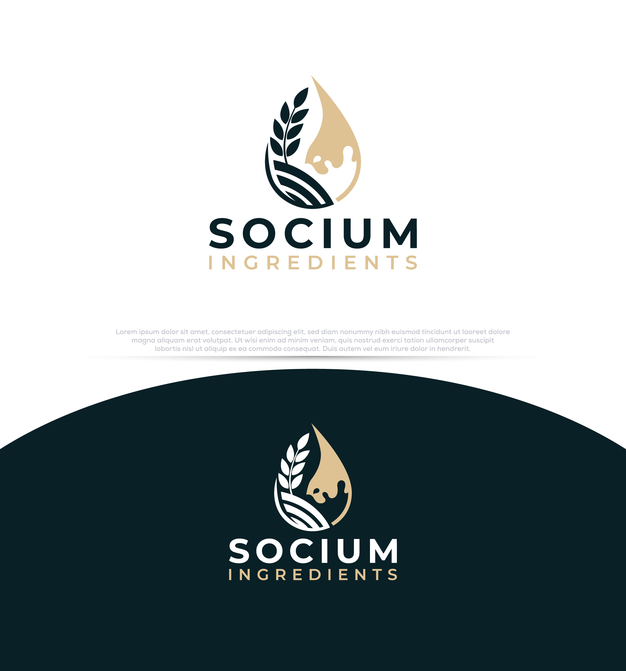 Diseño de Logo por InkPilot_Studio™ para este proyecto | Diseño #37557188