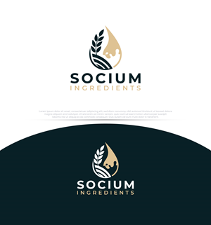 Design de Logo par InkPilot_Studio™ pour ce projet | Design : #37557188