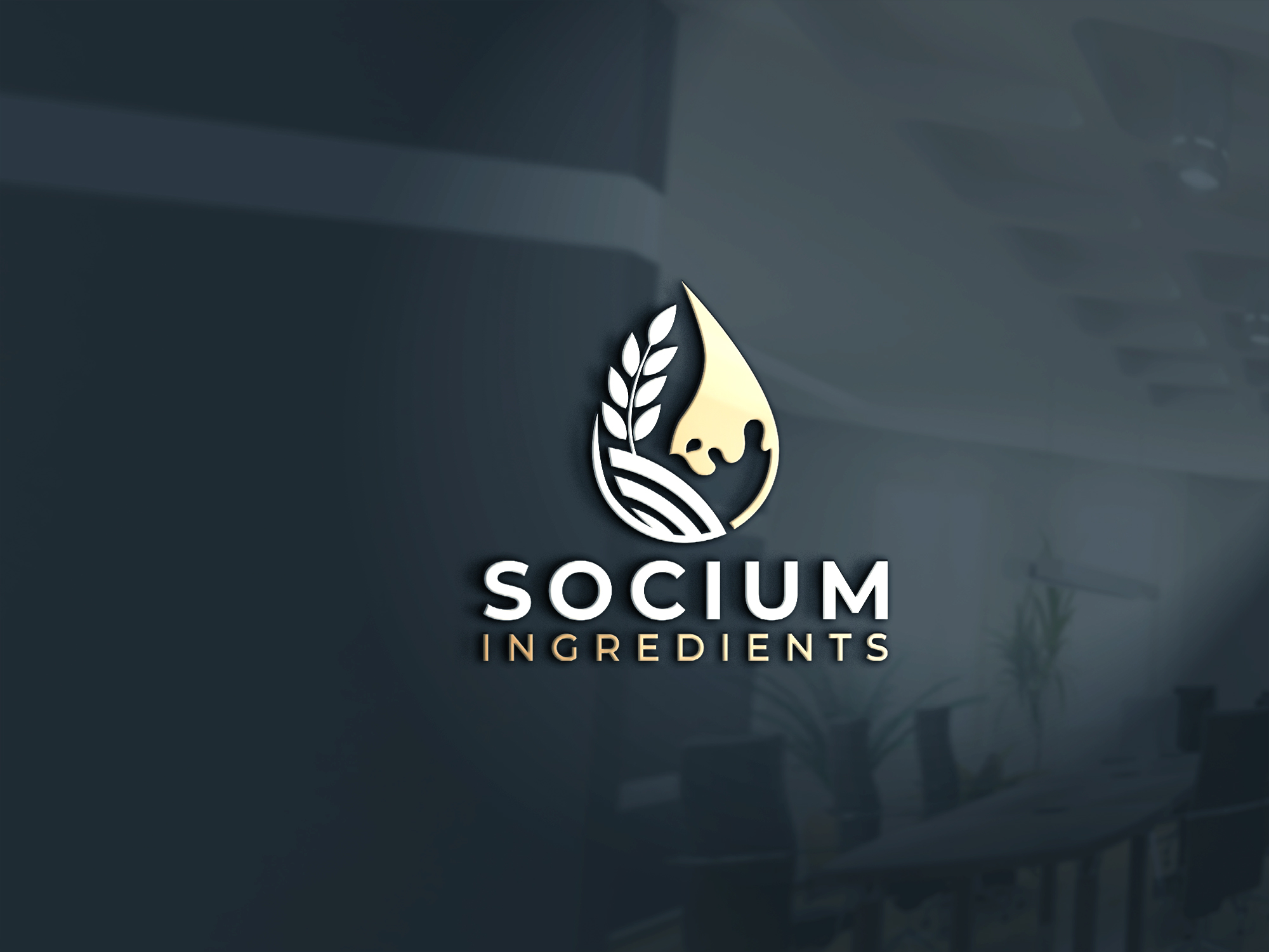 Diseño de Logo por InkPilot_Studio™ para este proyecto | Diseño #37557190