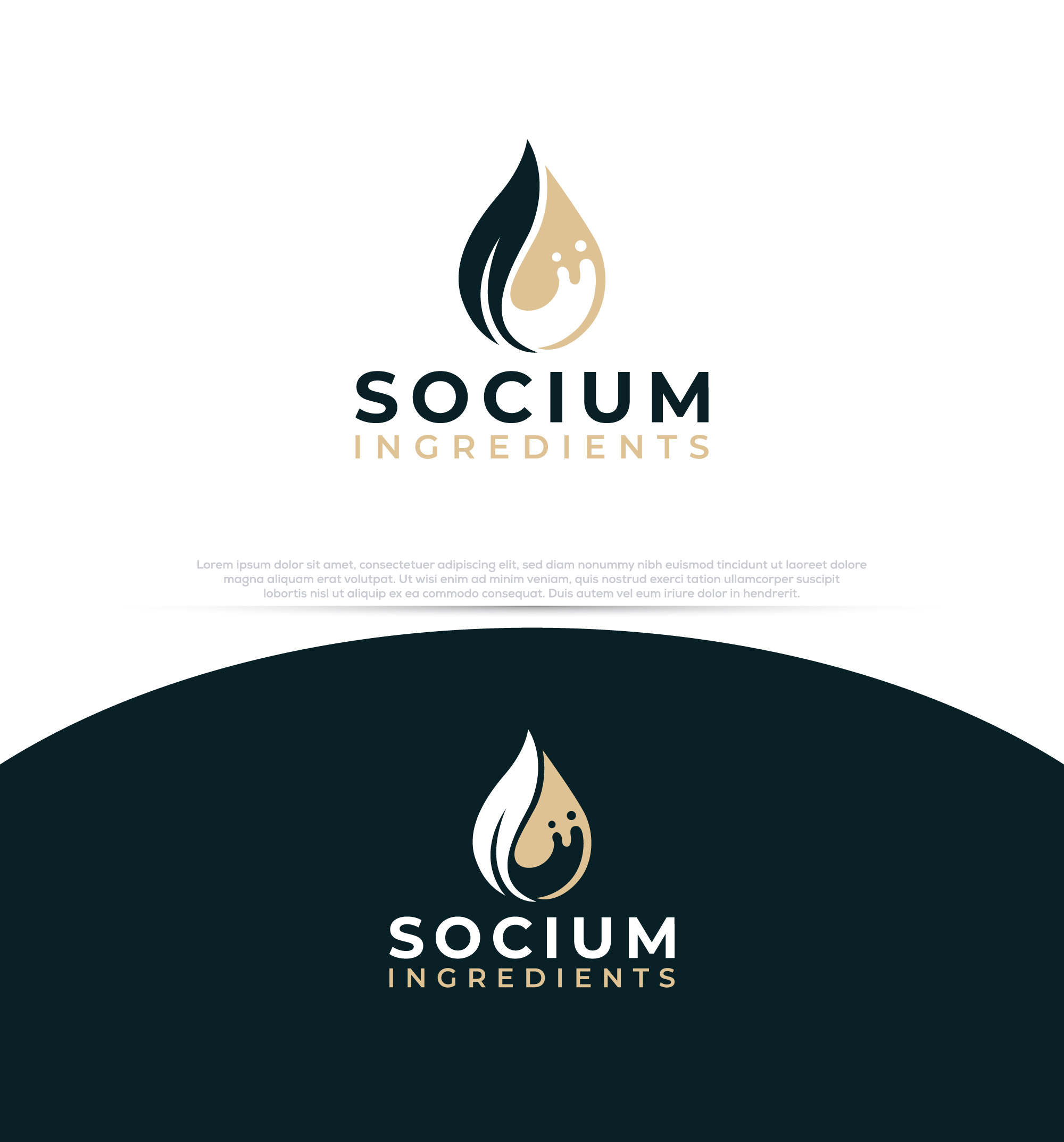 Diseño de Logo por InkPilot_Studio™ para este proyecto | Diseño #37557191