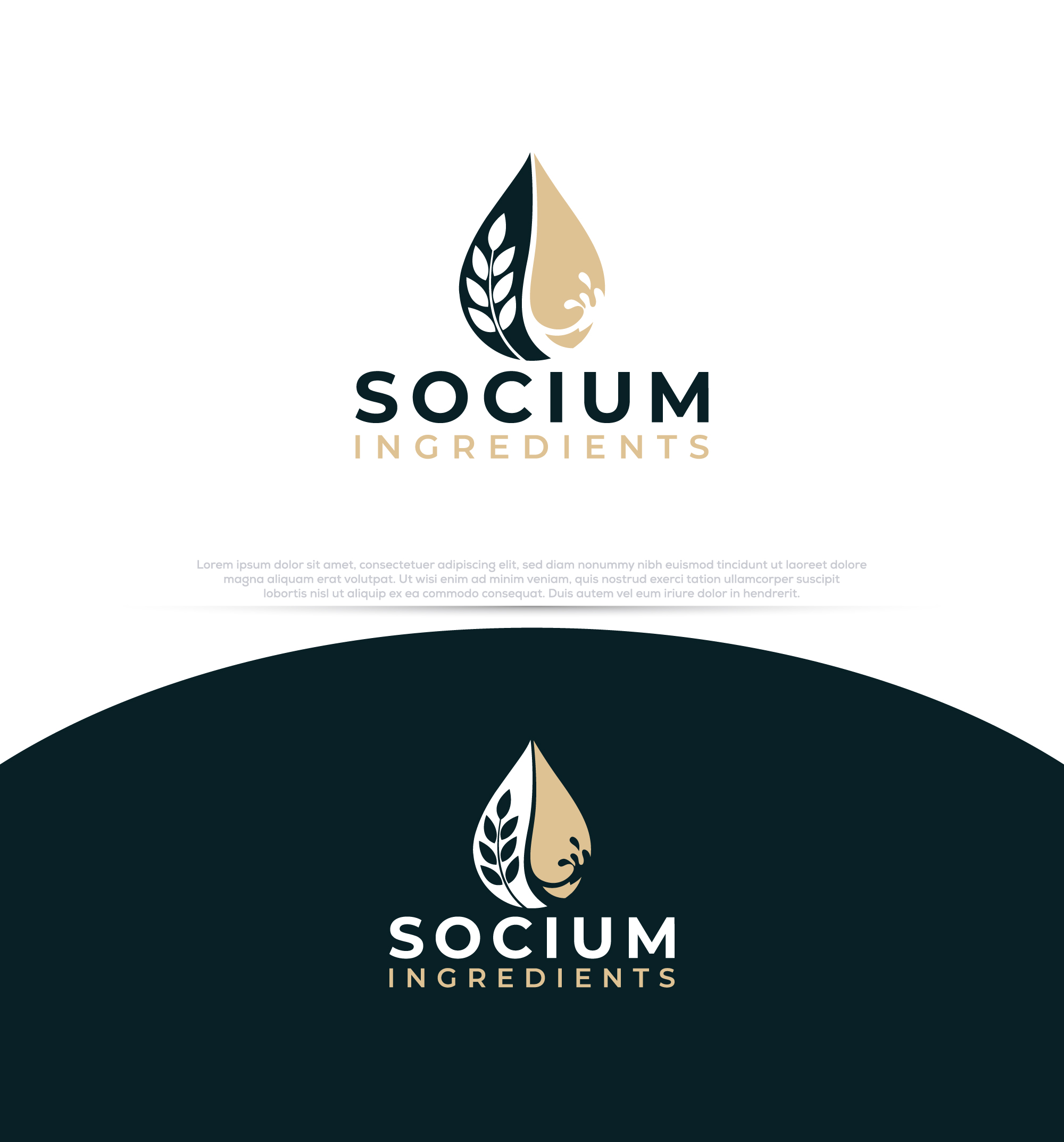 Design de Logo par InkPilot_Studio™ pour ce projet | Design #37557196
