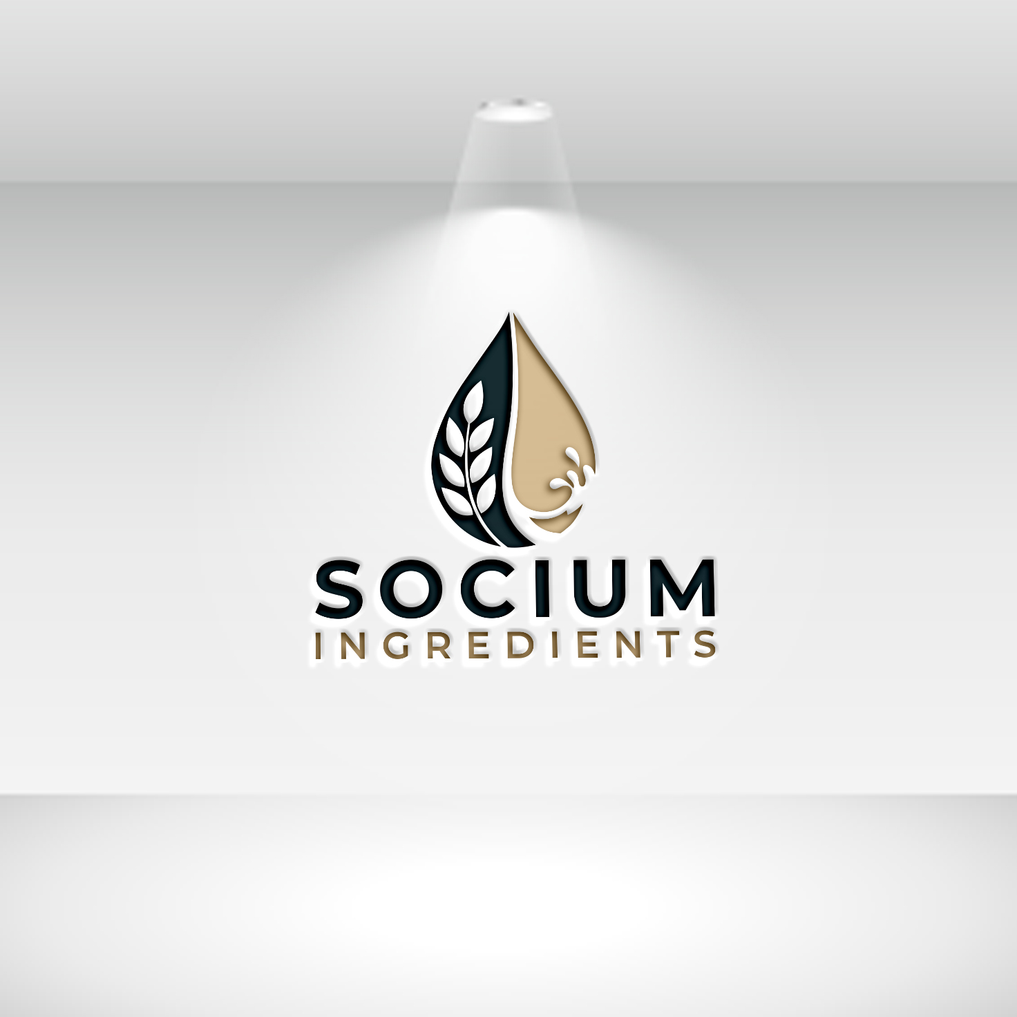 Design de Logo par InkPilot_Studio™ pour ce projet | Design #37557197