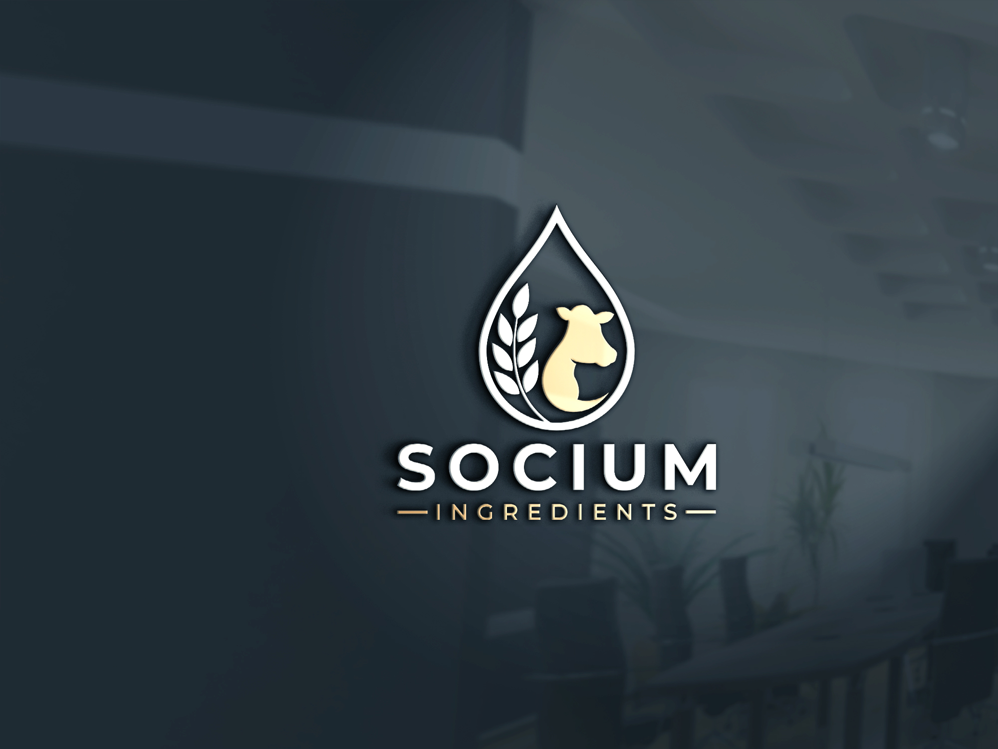 Diseño de Logo por InkPilot_Studio™ para este proyecto | Diseño #37557202