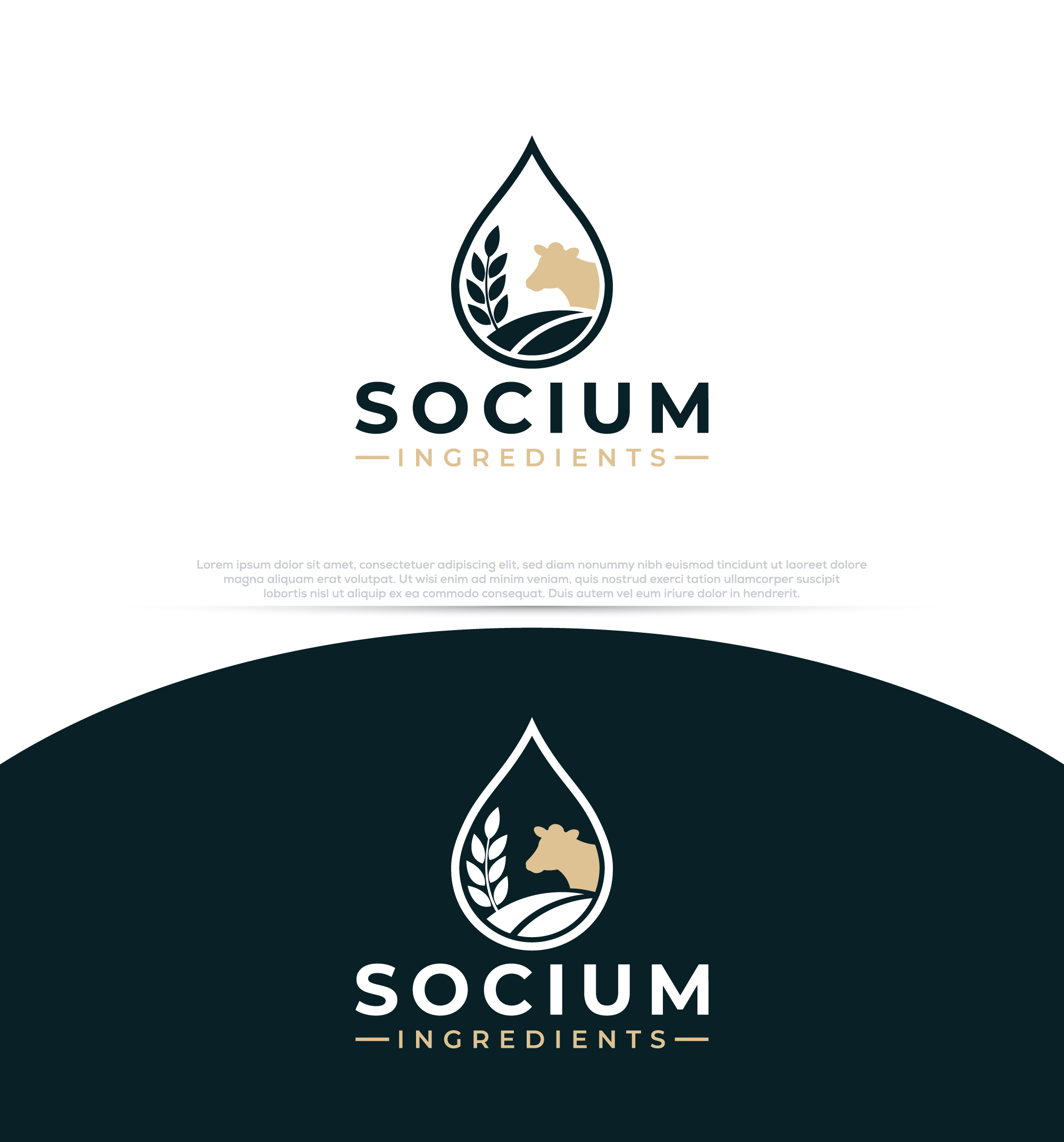Diseño de Logo por InkPilot_Studio™ para este proyecto | Diseño #37557203