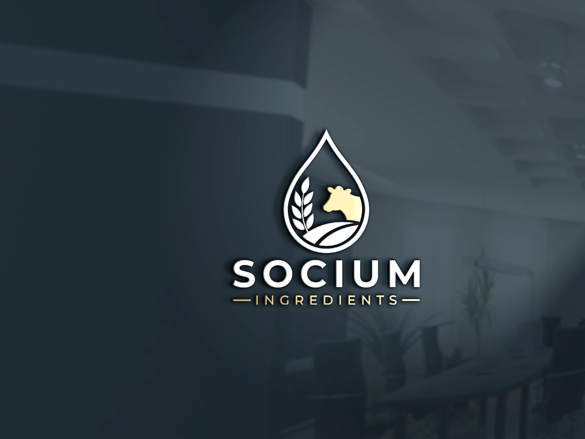 Diseño de Logo por InkPilot_Studio™ para este proyecto | Diseño #37557205