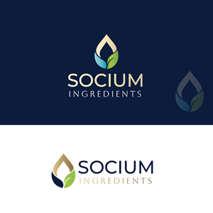 Logo Design by Bferrari for this project | Design: #37555295