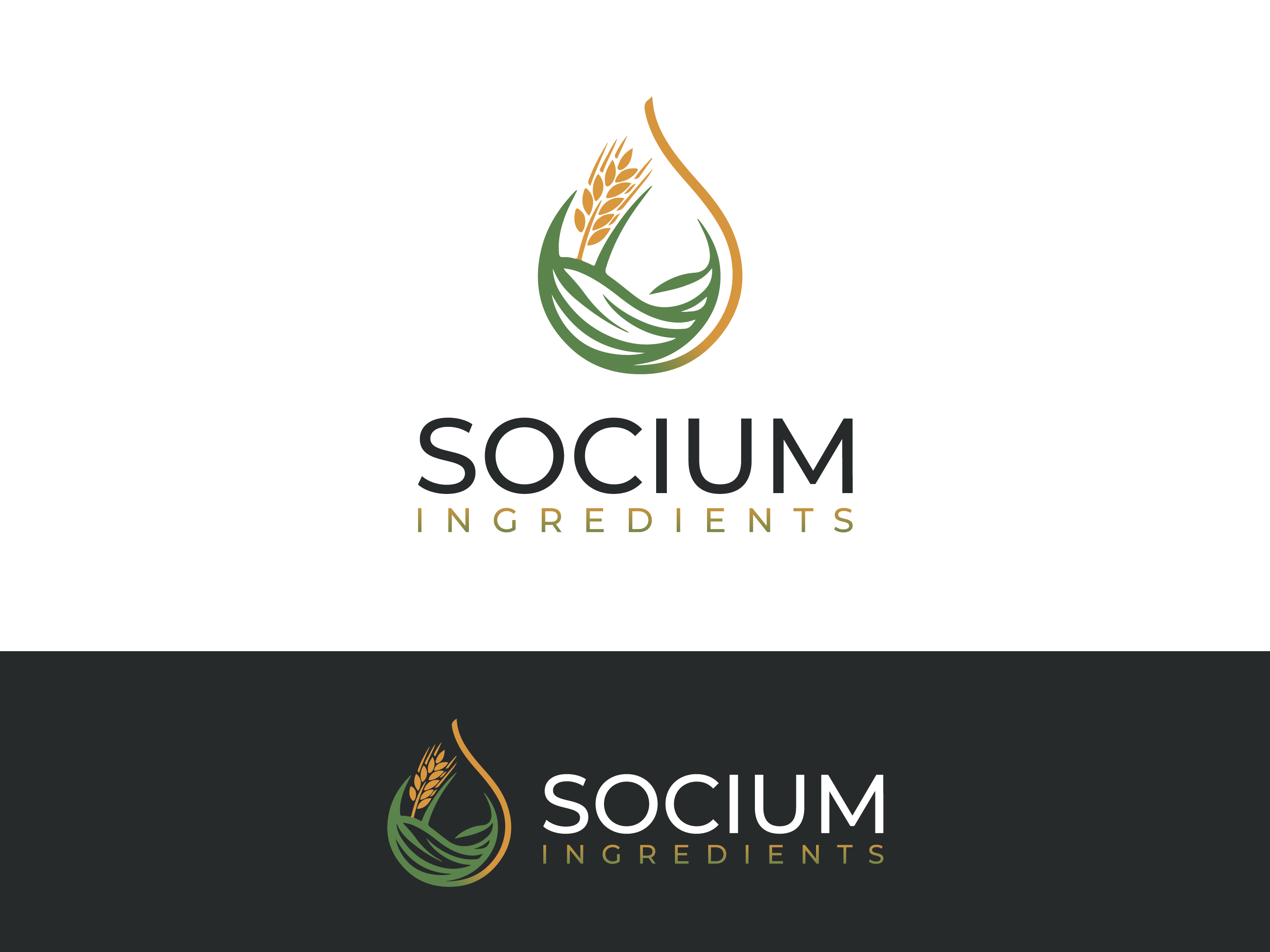 Diseño de Logo por yozdesign para este proyecto | Diseño #37557958