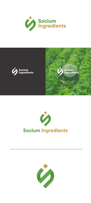 Logo Design by Lintangpryambodo for this project | Design: #37556181