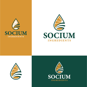 Logo Design by creativemood438 for this project | Design: #37557926