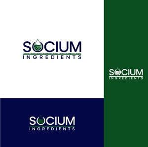 Logo Design by creativemood438 for this project | Design: #37557929