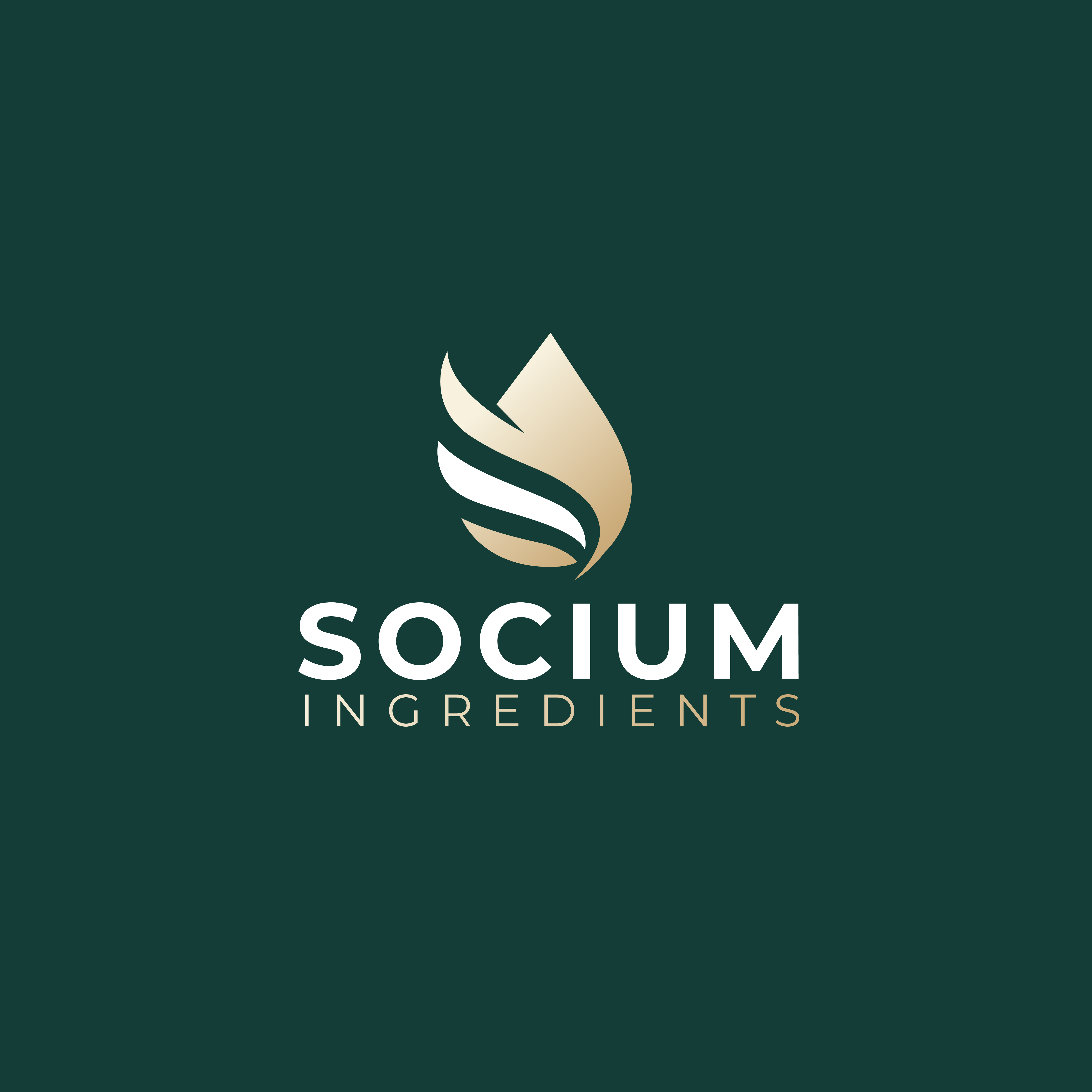 Diseño de Logo por ArtiiSans para este proyecto | Diseño #37557215