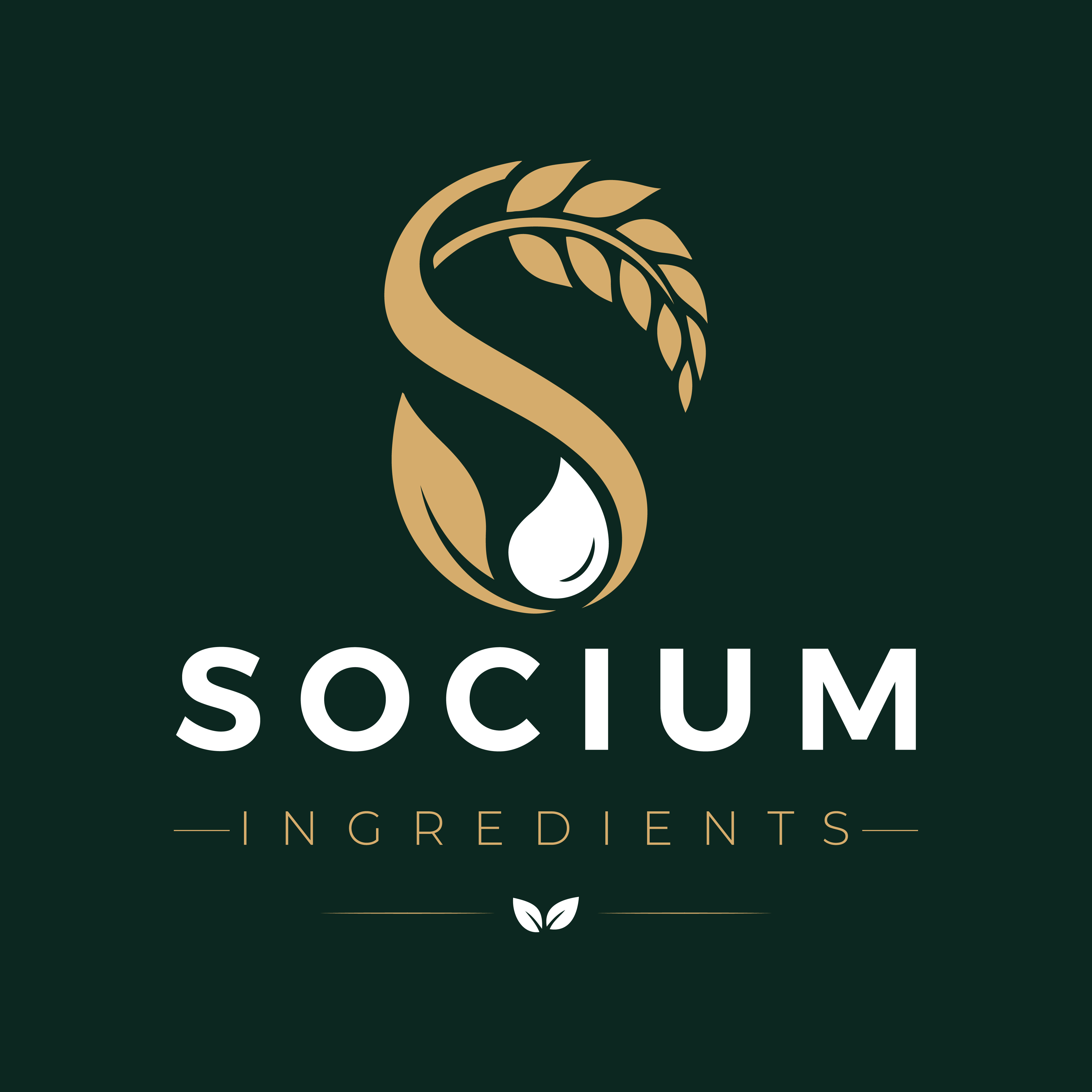 Diseño de Logo por dynamicstudio para este proyecto | Diseño #37555888